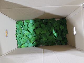 강성우님의 고구마 · 자유게시판 작성글 사진