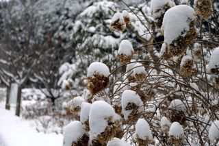 정경희님의 자유주제 · 자유게시판 작성글 사진