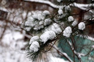 정경희님의 자유주제 · 자유게시판 작성글 사진