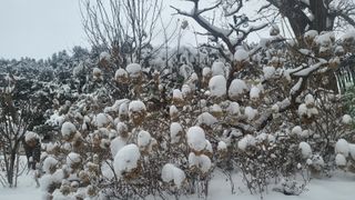 정경희님의 자유주제 · 자유게시판 작성글 사진