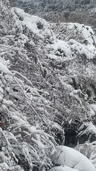 정경희님의 자유주제 · 자유게시판 작성글 사진