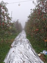 팜모닝 · 게시글 이미지