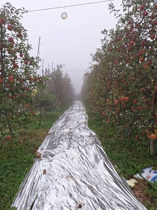 조순자님의 작성글 사진