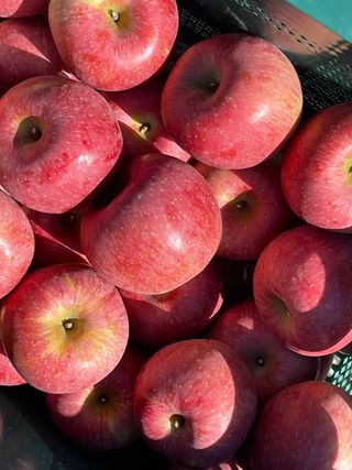 조순자님의 작성글 사진