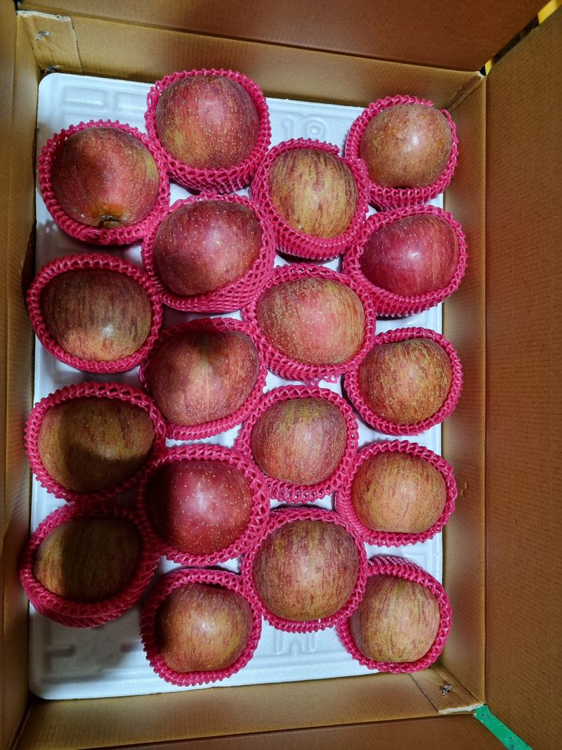 조순자님의 장터 판매 상품 [청송 부사 사과 ] 첨부 사진