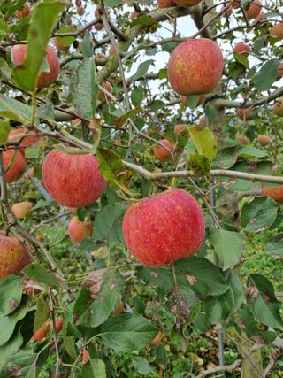 조순자님의 작성글 사진