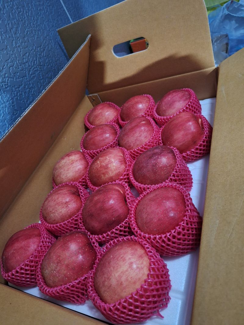 조순자님의 장터 판매 상품 [청송 부사 사과 ] 첨부 사진