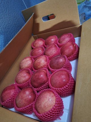 조순자님의 작성글 사진