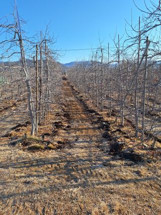 조순자님의 작성글 사진