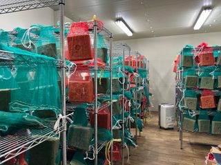 이재운님의 작성글 사진