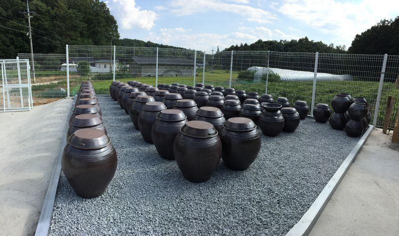 이재운님의 장터 판매 상품 [메주 있어요 직접생산 가공판매 국내산100%] 첨부 사진