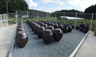 이재운님의 작성글 사진