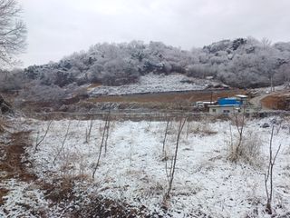 오영도님의 자유주제 · 자유게시판 작성글 사진