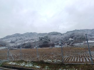 오영도님의 자유주제 · 자유게시판 작성글 사진