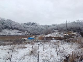 오영도님의 자유주제 · 자유게시판 작성글 사진