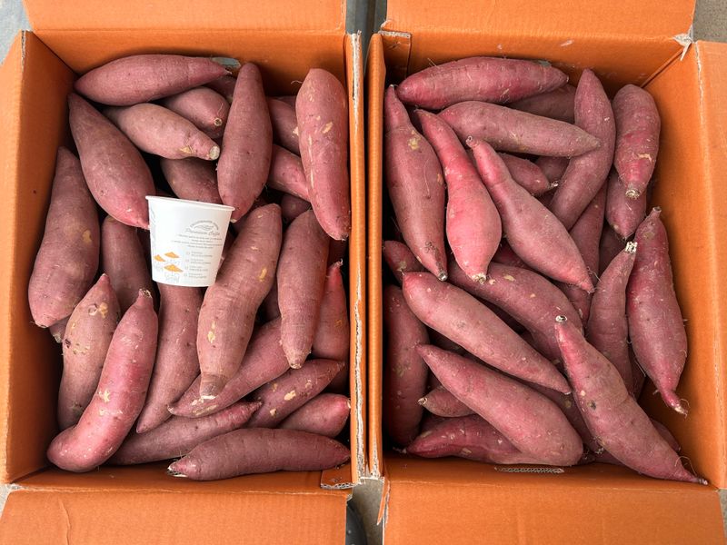 장터 상품 [무안 꿀 고구마 긴상 5kg] 썸네일