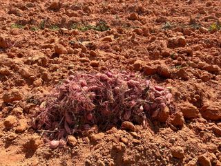 이영민님의 작성글 사진