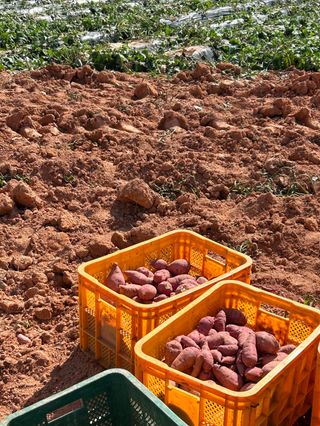 이영민님의 작성글 사진