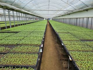 수박씨님의 고추 · 일상 작성글 사진