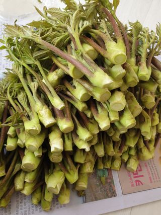 더디기농부님의 우리지역 대표작물 자랑하기 · 참여글 작성글 사진