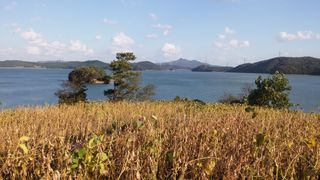 안동환님의 우리지역 대표작물 자랑하기 · 참여글 작성글 사진