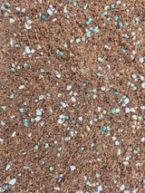 팜모닝 기타작물·영농일지 게시글 이미지