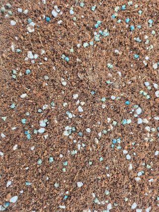 팜블리분매리농윈님의 기타작물 · 영농일지 작성글 사진