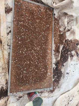 팜블리분매리농윈님의 기타작물 · 영농일지 작성글 사진