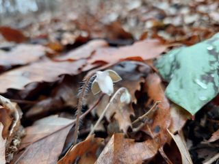 유병욱님의 자유주제 · 자유게시판 작성글 사진