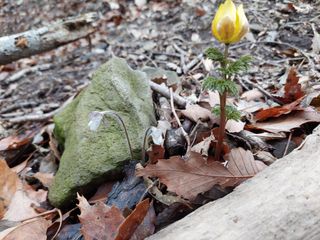 유병욱님의 자유주제 · 자유게시판 작성글 사진