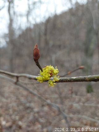 유병욱님의 자유주제 · 자유게시판 작성글 사진