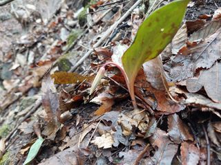 유병욱님의 자유주제 · 자유게시판 작성글 사진