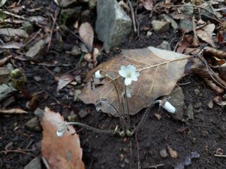 유병욱님의 자유주제 · 자유게시판 작성글 사진