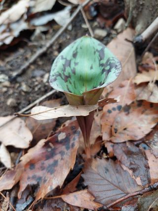유병욱님의 자유주제 · 자유게시판 작성글 사진