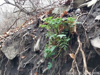 유병욱님의 자유주제 · 자유게시판 작성글 사진