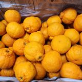 팜모닝 · 게시글 이미지