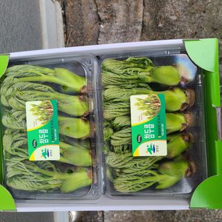 knlee님의 우리지역 대표작물 자랑하기 · 참여글 작성글 사진