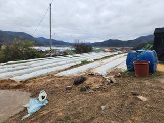 임영규님의 우리지역 대표작물 자랑하기 · 참여글 작성글 사진