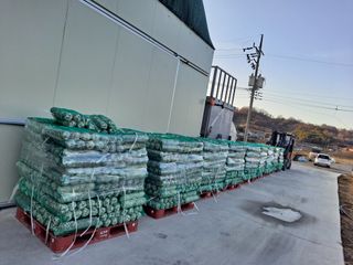 서촌댁님의 버섯 · 일상 작성글 사진