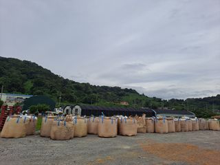 서촌댁님의 버섯 · 일상 작성글 사진