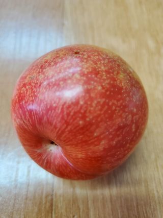 서정훈 님의 팜모닝 · 출석 작성글 사진