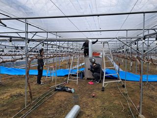 정이오가네농원님의 포도 · 자유게시판 작성글 사진