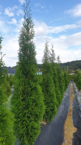 류대길님의 작성글 사진