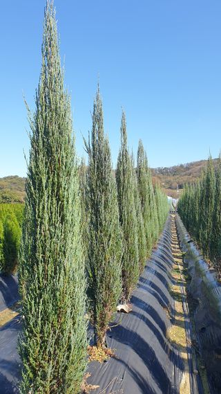 류대길님의 작성글 사진