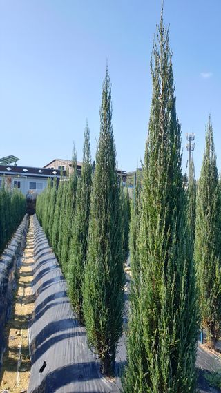 류대길님의 작성글 사진