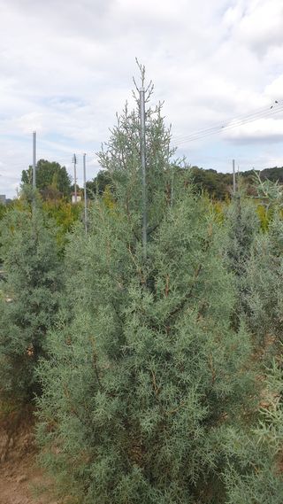 류대길님의 작성글 사진