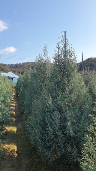 류대길님의 작성글 사진