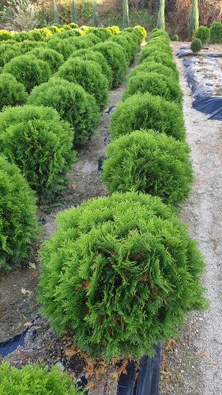 류대길님의 작성글 사진