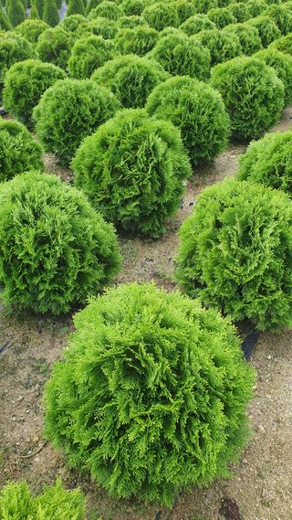 류대길님의 작성글 사진