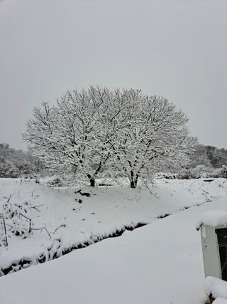 좋은인연원님의 파 · 자유게시판 작성글 사진